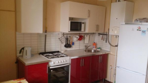 Apartment on Shevchenko 288